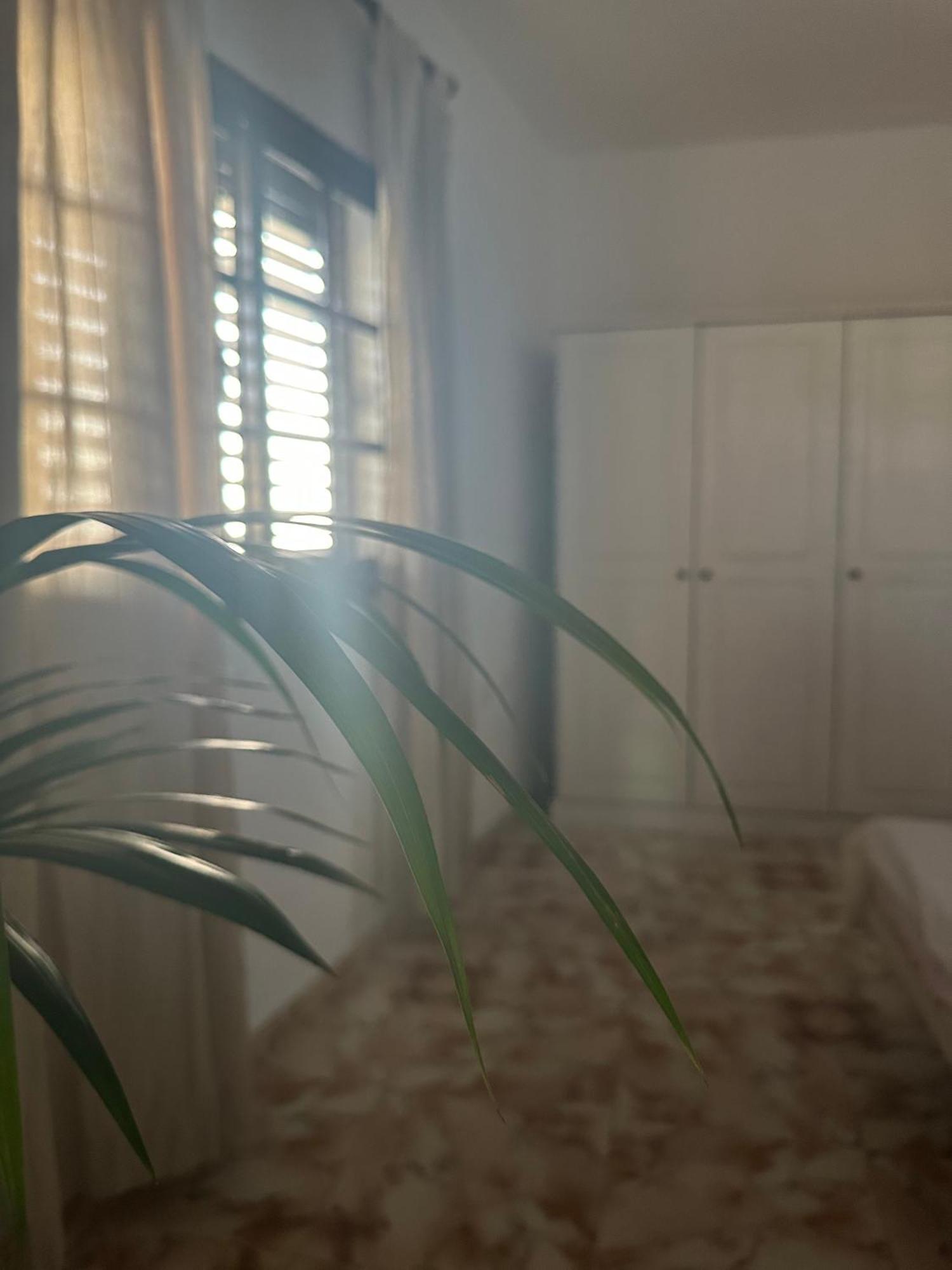Apartamento Fortaleza فاليهيرموسو المظهر الخارجي الصورة